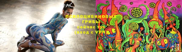 амф Алзамай