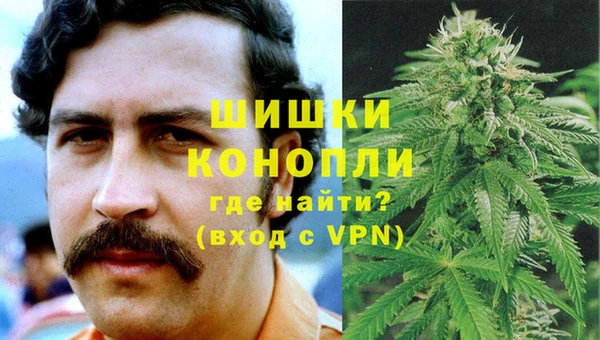 гидра Няндома
