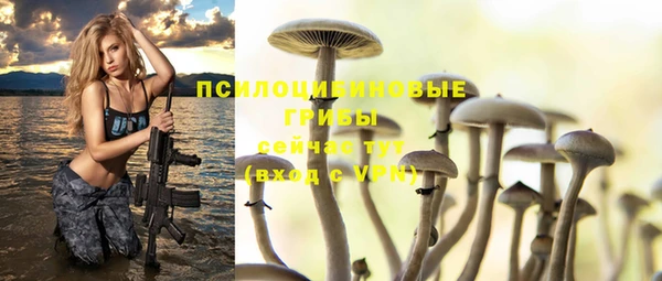 mix Алексин