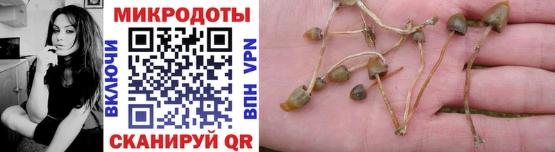купить наркоту  Десногорск  Псилоцибиновые грибы прущие грибы 
